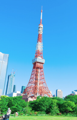 国内旅行